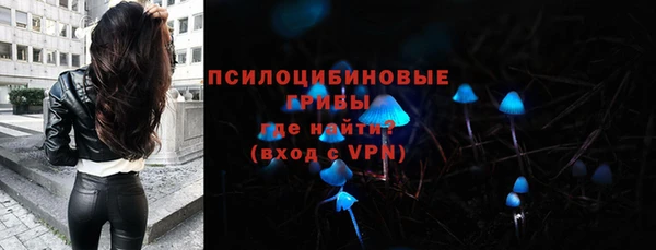PSILOCYBIN Армянск