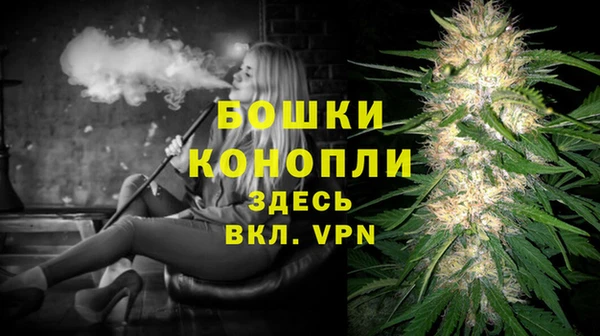 PSILOCYBIN Армянск