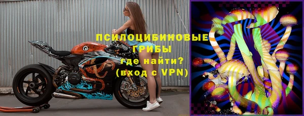 PSILOCYBIN Армянск