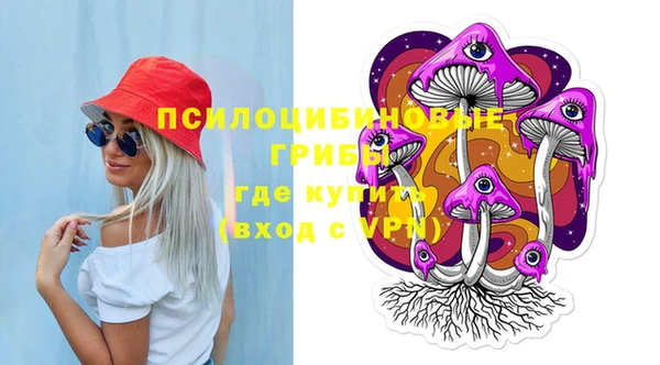 PSILOCYBIN Армянск